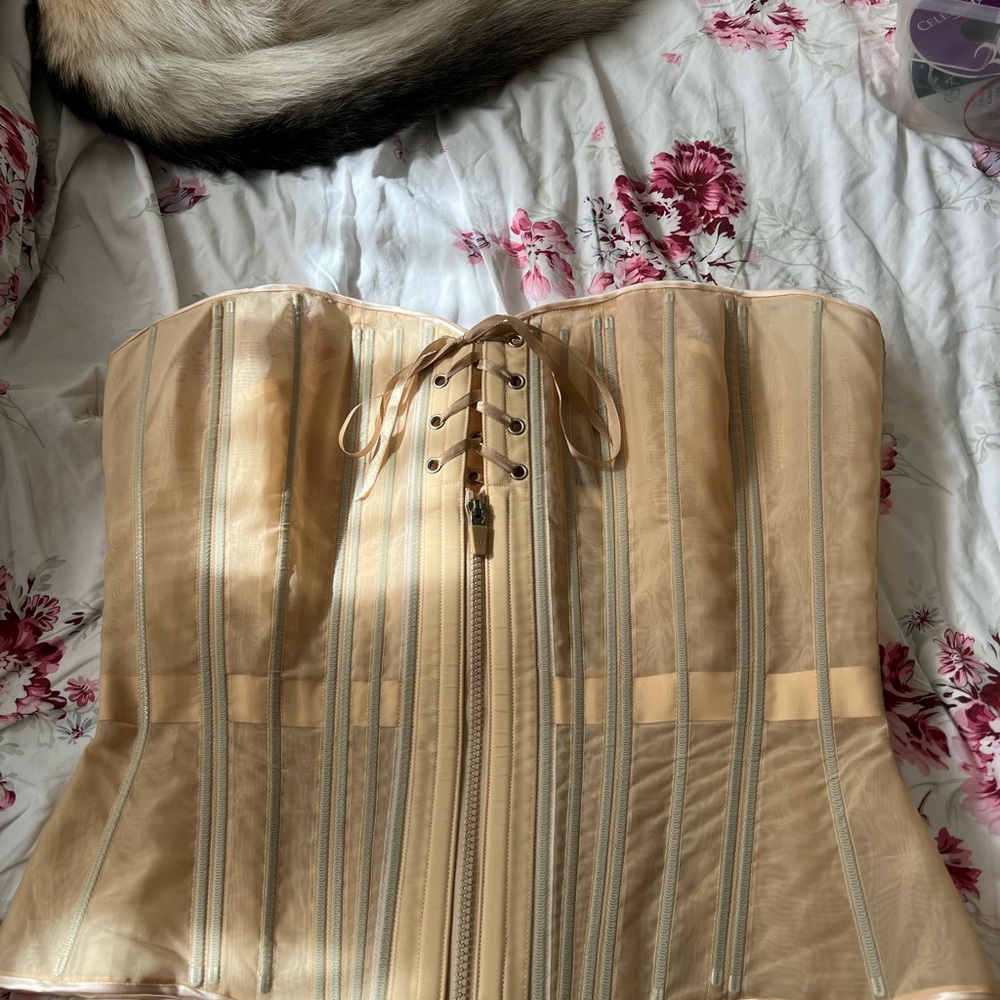 Beige Timeless Trends No Line Fine Mesh Corset